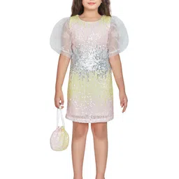 Peppermint Embellished Net Sheath Dress-picture-16