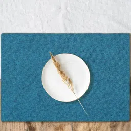 THE HOME TALK Blue 4 Pieces Rectangle Table Placemats-image-37