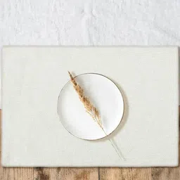 THE HOME TALK Off White 4 Pieces Rectangle Table Placemats-image-36