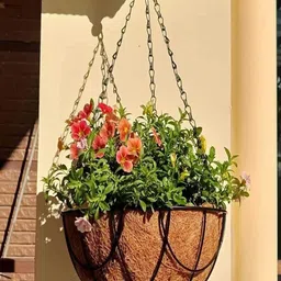 Garden Deco Black & Brown 6 Pieces Coco Coir Hanging Basket Planters-17
