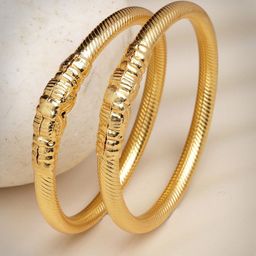 NVR Women Set of 2 Gold-Plated Traditional Bangles-1