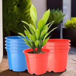 Kuber Industries 8Pc Red & Blue Lightweight Planters image 1