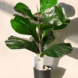 Blooming Floret Green Fiddle Artificial Plant With Pot image 1