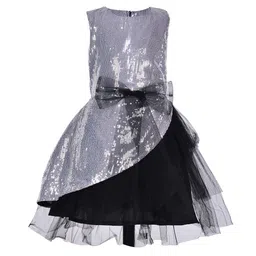 Samsara Couture Silver-Toned & Black Satin Fit and Flare Dress-4