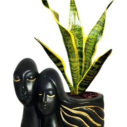 LASAKI Black & Gold-Toned Textured Couple Shape Ceramic Planters-16