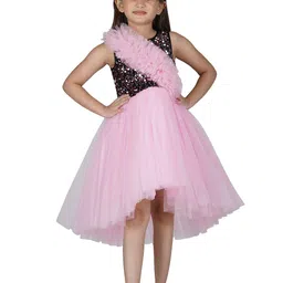 Toy Balloon kids Pink Embellished  Net Dress-31