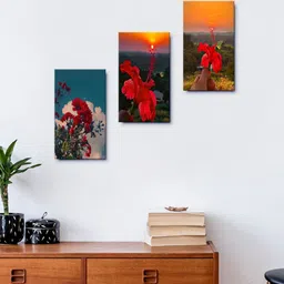 999Store Set Of 3 Beautiful Flowers At Sunset Framed Wall Arts-73