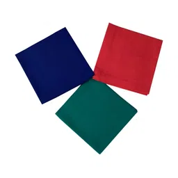 FOVEROS Red & Blue 3 Pieces Cotton Roti Cover Napkins-50