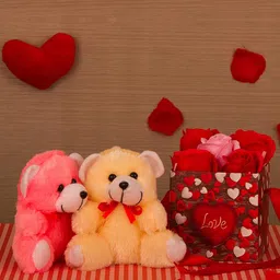 TIED RIBBONS Red & Pink Valentine Special Combo Gift Pack-84