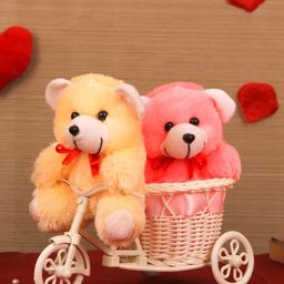 TIED RIBBONS Valentine Special Decorative Cycle with 2 Small Teddy Combo Gift Pack-image-62