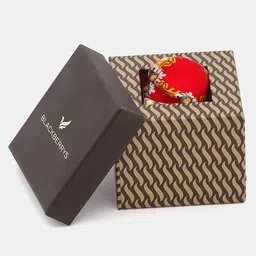 Blackberrys Men Printed Pocket Squares-13