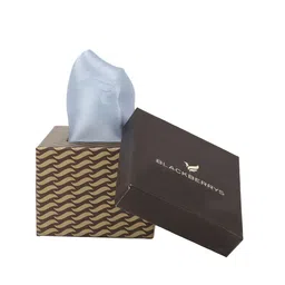 Blackberrys Men Blue Colourblocked Pure Silk Pocket Square-image-37