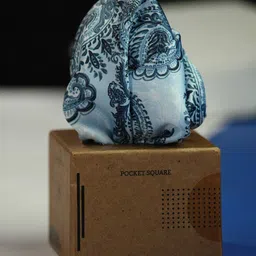 Tossido Men Paisley Printed Pocket Square-image-31
