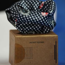 Tossido Men Paisley Printed Pocket Square-image-105