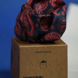 Tossido Men Paisley Printed Pocket Square-image-78