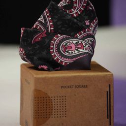 Tossido Men Paisley Printed Pocket Square-image-101