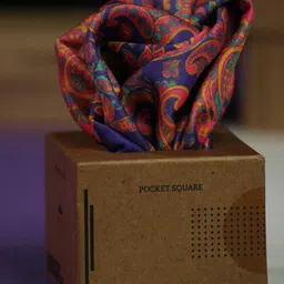 Tossido Men Paisley Printed Pocket Square-48