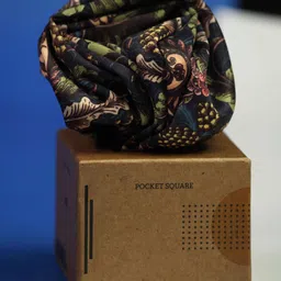 Tossido Men Paisley Printed Pocket Square-38