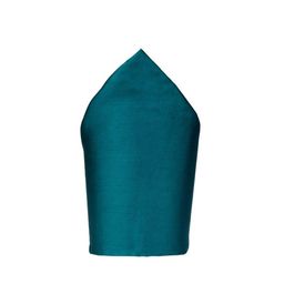 The Tie Hub Pure Silk Pocket Squares-image-65
