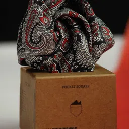 Tossido Men Red Paisley Pocket Square-image-66