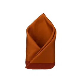 The Tie Hub Pure Silk Pocket Squares-4