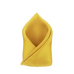 The Tie Hub Pure Silk Pocket Squares-image-62
