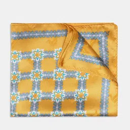 Blackberrys Men Printed Pocket Squares-picture-23