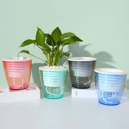 Ekhasa 4Pcs Red & Blue 4 Pieces Self Watering Planters-4