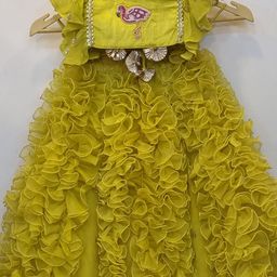 BAESD Girls Embroidered Silk & Georgette Lehenga With Blouse-picture-51
