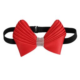 Alvaro Castagnino Men Red Bow Tie-picture-20