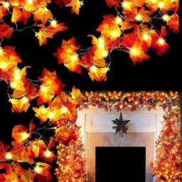 The Purple Tree Decorative String Lights-16