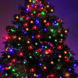 SKYFLY Rice Shape String Lights - 40 mtrs-41