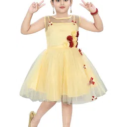 BAESD Girls Embellished Net Fit & Flare Dress-picture-23