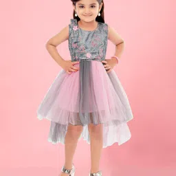 Aarika Girls Embellished Round Neck Gathered Fit & Flare Dress-image-84