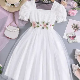 BAESD Flutter Sleeve Net Belted Fit & Flare Dress image 1