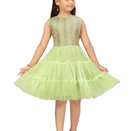 BAESD Girls Embellished Self Design Sleeveless Fit & Flare Dress-13