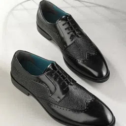 San Frissco Men Textured Formal Borgues With Punches-image-39