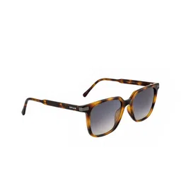 OPIUM Men Grey Lens & Brown Wayfarer Sunglasses with UV Protected Lens OP-1910-C02-image-26