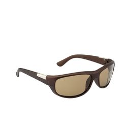 Roadster Adults Brown Lens & Brown Sports Sunglasses with UV Protected Lens RD-M22386-17