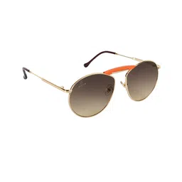 AISLIN Unisex Brown & Gold-Toned Full Rim Round Sunglasses-39