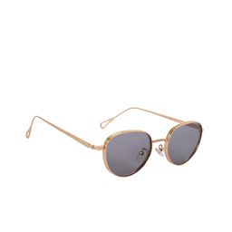 AISLIN Unisex Oval Sunglasses with UV Protected Lens-image-33