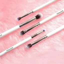 Praush Professional Professional Set Of 5 Blending Eye Brushes Sets-16