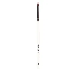 Praush Eyeshadow Pencil Smudger Brush - P19-31