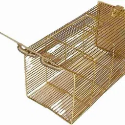 Humane Rat Trap Cage, 32 cm, Reusable Enlarged Rodent Catcher for Mouse, Live Trap-picture-23