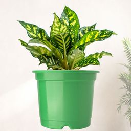 Kuber Industries Set Of 4 Green Planter With Pot image 2