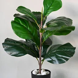 Blooming Floret Green Fiddle Artificial Plant With Pot image 2