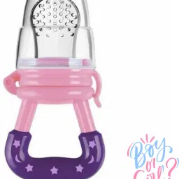 SST Sales Baby Food And Fruit Nibbler & Pacifier Teether BPA Free Nibbler BD03 Feeder-image-7