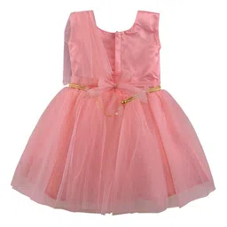 Wish Karo Peach-Coloured Net Fit & Flare Dress image 4