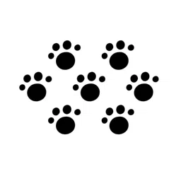 Comet Busters 7 Pcs Reusable Designer Bindis - Black image 3