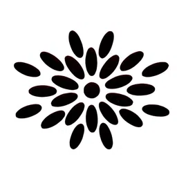 Comet Busters 25 Pcs Reusable Traditional Bindis - Black image 3